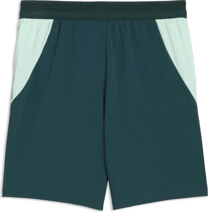 Puma FIFA WM 2026 Österreich Auswärtsshorts (Junior)