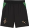Puma Borussia Mönchengladbach 2026/2027 Trikot Vorschaubild
