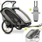 Hauck Bike N Walk Duo Fahrradanhänger light grey Vorschaubild