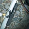 SKS Airflex Explorer Clik Tec Minipumpe schwarz Vorschaubild