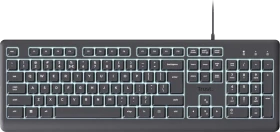 Trust Primo Illuminated Keyboard, LEDs weiß, USB, US (25732)