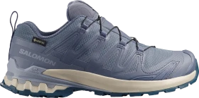 Salomon XA Pro 3D V9 GTX grisaille/tradewinds/spellbound (Damen)