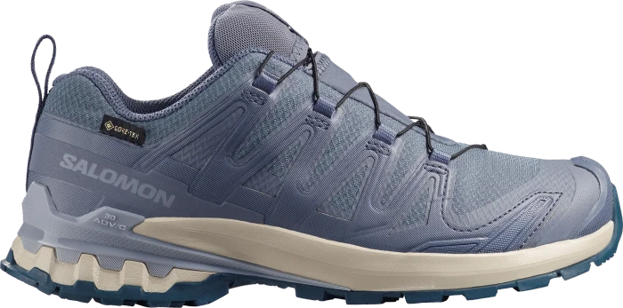 Salomon XA Pro 3D V9 GTX grisaille/tradewinds/spellbound (Damen)