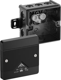 Spelsberg Abzweigkasten Abox 025 AB-L/sw