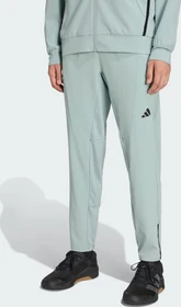 adidas DT4 Workout Trainingshose lang wonder sage (Herren)