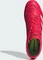 adidas Predator Pro MG lucid red/cloud white/core black Vorschaubild
