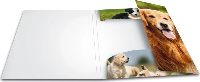 Herma Sammelmappe, A4, Tiermotiv Hunde, 3er-Pack