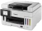 Canon MAXIFY GX6550, Tinte, mehrfarbig Vorschaubild