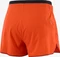 Salomon Sense Aero 3 Hose kurz fiery red (Herren) Vorschaubild