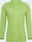 adidas Tiro 23 Competition Long Sleeve Torwart Trikot kurzarm team semi sol green2 (Herren) Vorschaubild
