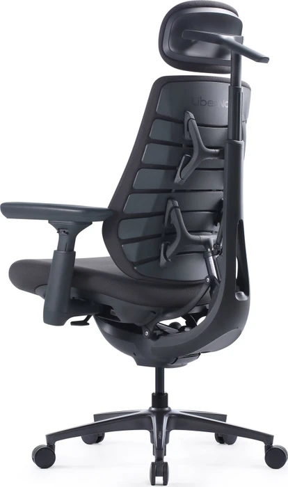 LiberNovo Maxis Electric, graphit