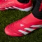 adidas Predator Elite Laceless FG lucid red/cloud white/core black Vorschaubild