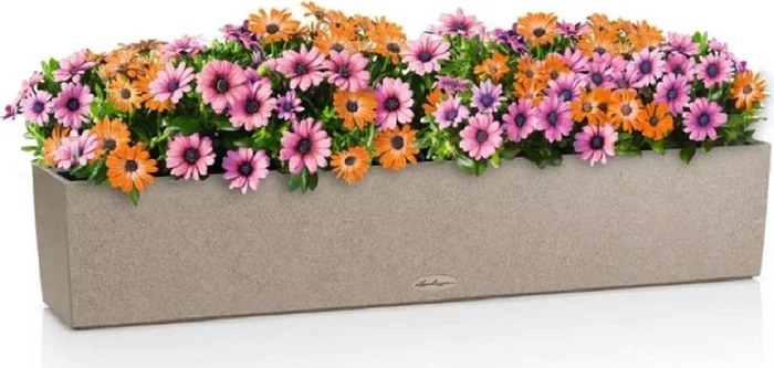 Lechuza Balconera Stone 100 sandbeige