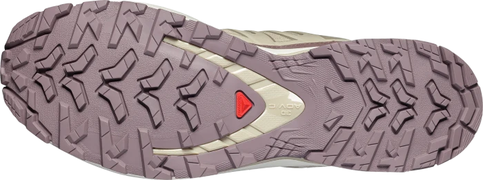 Salomon XA Pro 3D V9 Lifelong eucalyptus/iron (Herren)