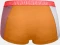 Ortovox 150 Essential Boxer Briefs sly fox (Damen) Vorschaubild