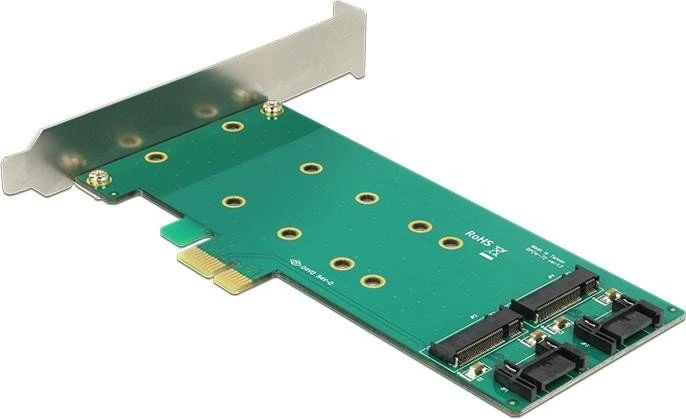 DeLOCK PCIe -> M.2 SATA