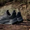 adidas Terrex Soulstride Flow GTX core black/grey six/semi impact orange (Damen) Vorschaubild