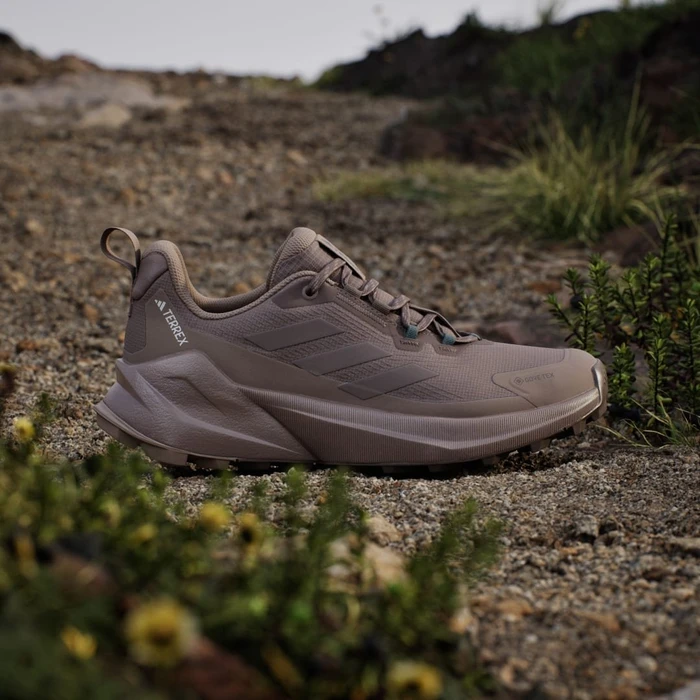 adidas Terrex Trailmaker 2.0 GTX earth strata/trace brown/chalky brown (Damen)