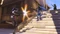 Overwatch (PC) Vorschaubild