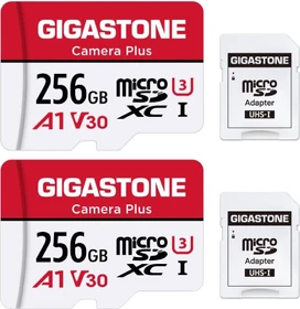 Gigastone Camera Plus R100/W60 256GB Kit, UHS-I U3, A1, Class 10, 2er-Pack