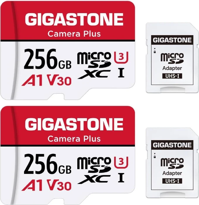 Gigastone Camera Plus R100/W60 256GB Kit, UHS-I U3, A1, Class 10, 2er-Pack