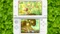 Hey! Pikmin (3DS) Vorschaubild