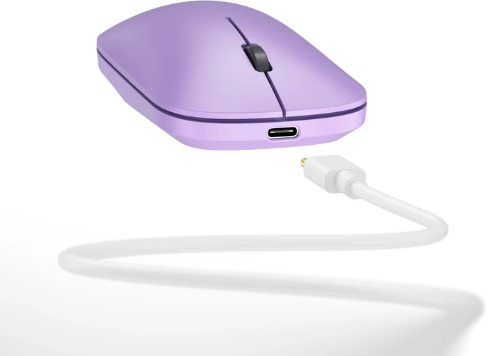 Eternico MSB380 Wireless Office Mouse violett, USB/Bluetooth
