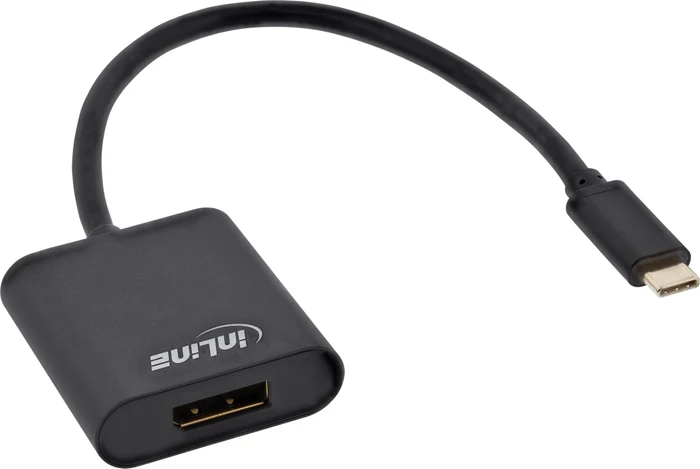 InLine Monitor Konverter USB-C Stecker auf Diplayport Buchse schwarz