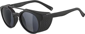 Alpina Glace all black matt/mirror black