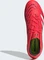 adidas Predator Pro FG lucid red/cloud white/core black Vorschaubild