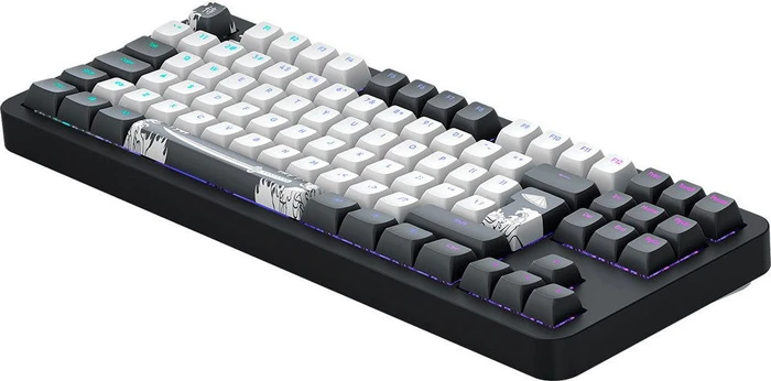 Dark Project ALU87B Bushido Gaming Keyboard, schwarz/weiß, LEDs RGB, g3ms Moonstone, USB, DE