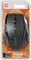 Defender Accura MM-365 Wireless Optical Mouse schwarz, USB Vorschaubild