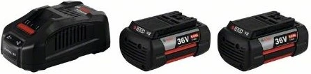 Bosch Professional Starterset 36V, 6.0Ah, Li-Ionen, 2 Akkus [12.0Ah] [432Wh]