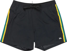 Quiksilver Everyday Beach 15" Badeshorts schwarz (Herren)