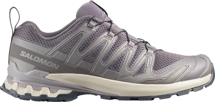 Salomon XA Pro 3D V9 dark gull gray/cloudburst/asphalt (Herren)