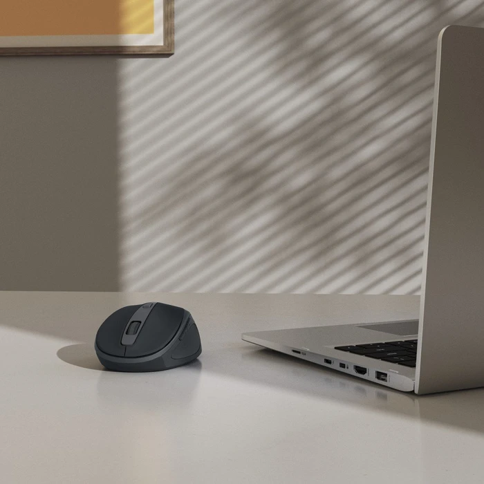 Hama WM-400 Silent Wireless 6-Button Mouse schwarz/grau, USB