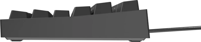 Genesis Thor 404 TKL, schwarz, LEDs RGB, hot-swap, Gateron Pro YELLOW, USB, DE