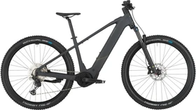 Bergamont E-Revox Sport 10 flaky black Modell 2025