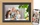 Braun DigiFrame 10B WiFi 10.1", Buche (21265)