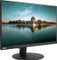 Lenovo ThinkVision P24q-10, 23.8" Vorschaubild