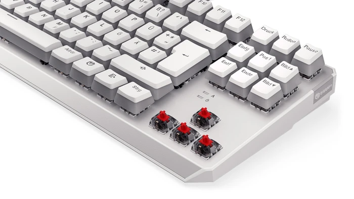 Endorfy Thock TKL Pudding, Onyx White, PBT, LEDs RGB, Kailh RED, USB, DE
