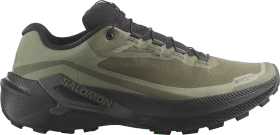 Salomon Genesis 2 GTX grape leaf/black/deep lichen green (Herren)