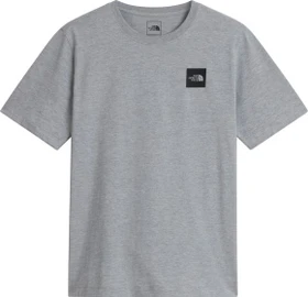 The North Face Evolution Box Half Dome T-Shirt kurzarm tnf pale grey heather (Herren)