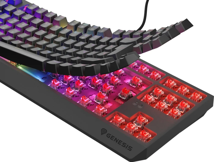 Genesis Thor 230 TKL, Anchor Gray Negative, LEDs RGB, hot-swap, Outemu Red, USB, CZ/SK