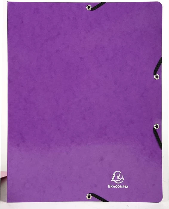 Exacompta Iderama Ringbuch 2-Ring, 20mm, A4, violett