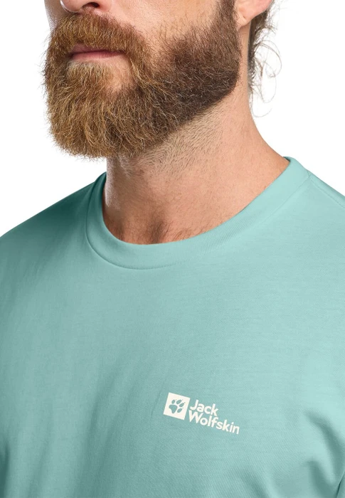 Jack Wolfskin Essential T-Shirt kurzarm soft jade (Herren)