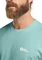 Jack Wolfskin Essential T-Shirt kurzarm soft jade (Herren) Vorschaubild
