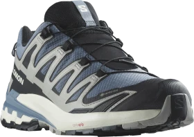 Salomon XA Pro 3D V9 GTX flint stone/black/ghost gray (Herren)