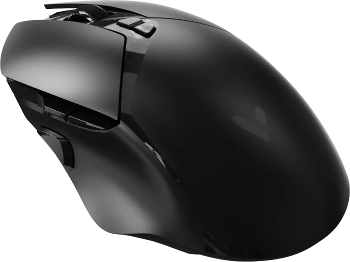 Rapoo V30PRO 8K/4K Wireless Gaming Mouse schwarz, USB