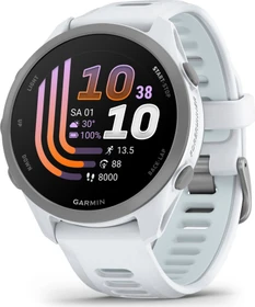Garmin Forerunner 170 whitestone/whitestone-cloud blue